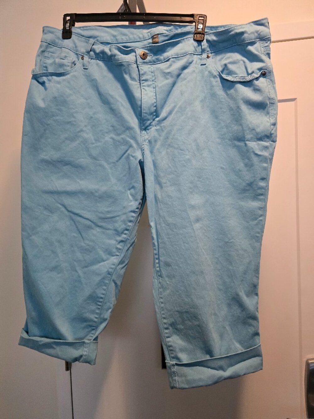Style & Co Curvy Light Blue Capri Pants